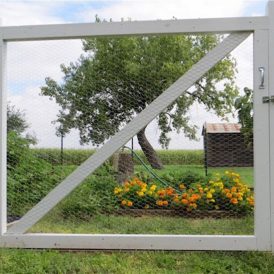 Harvest Festival: The Cornucopia of Fall Image